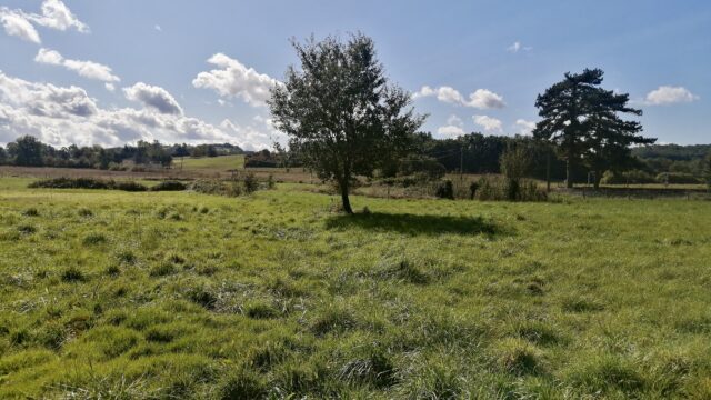 Terrain viabilisé 927m² St Julien du Puy