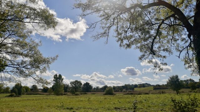 Terrain viabilisé 931m² St Julien du Puy